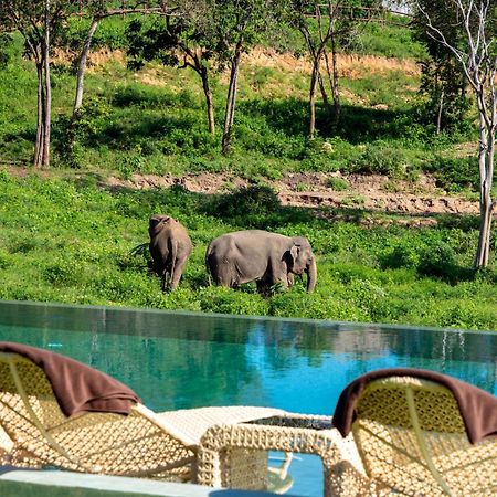Wild Cottages Elephant Sanctuary Resort Amphoe Koksamui Exterior photo