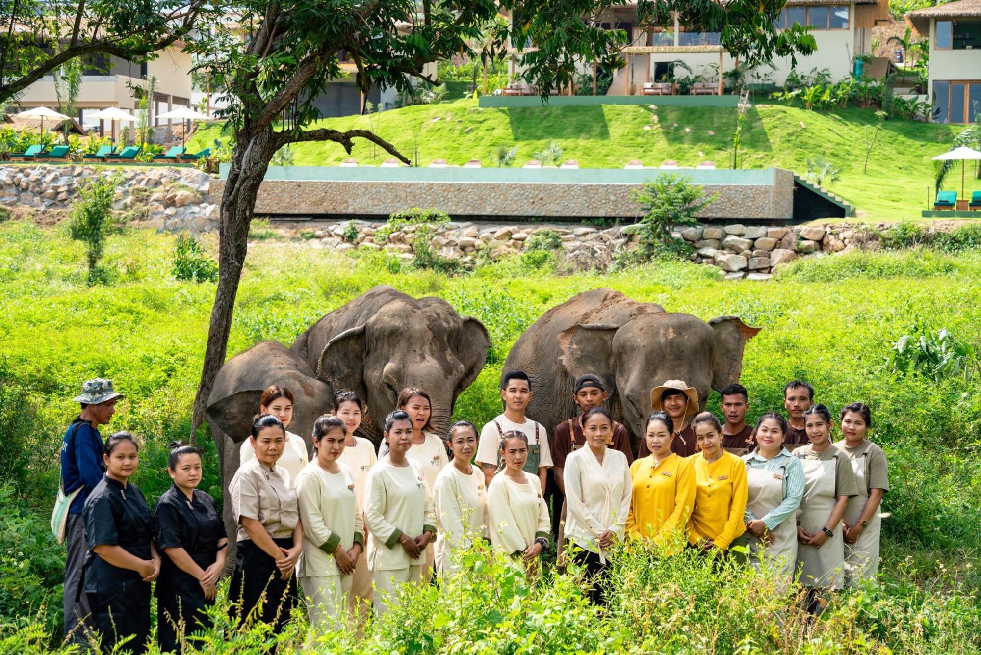 Wild Cottages Elephant Sanctuary Resort Amphoe Koksamui Exterior photo
