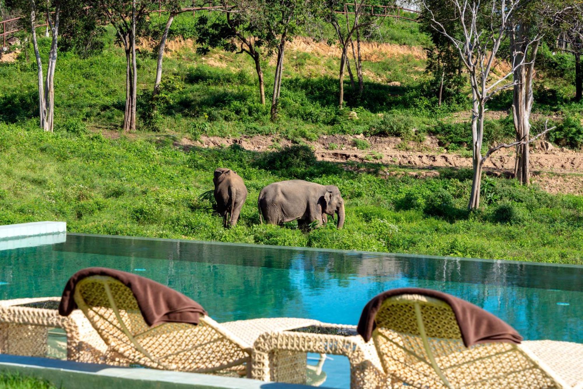 Wild Cottages Elephant Sanctuary Resort Amphoe Koksamui Exterior photo