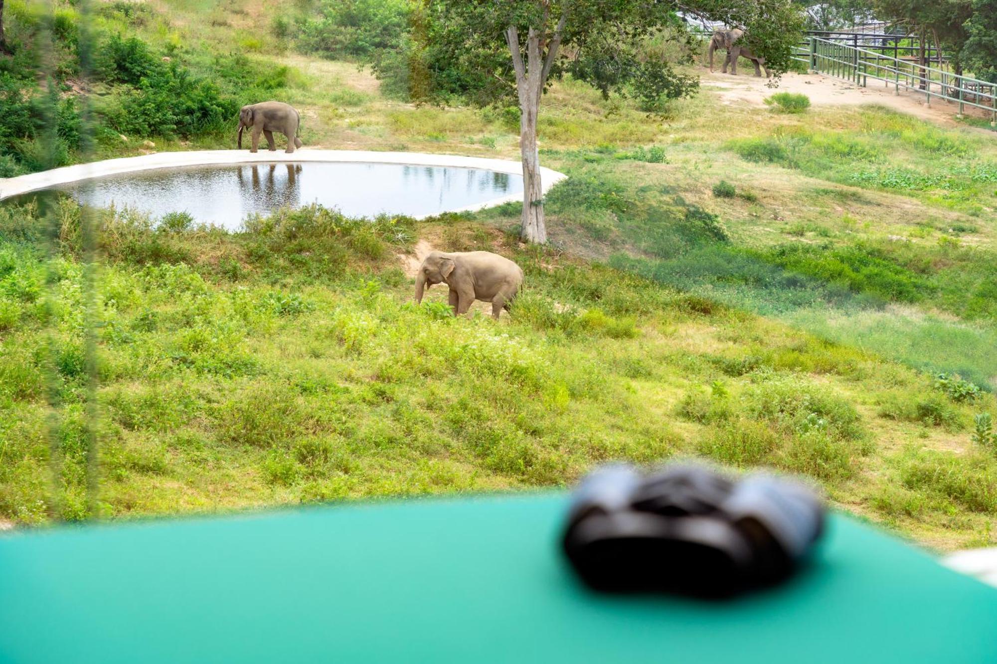 Wild Cottages Elephant Sanctuary Resort Amphoe Koksamui Exterior photo
