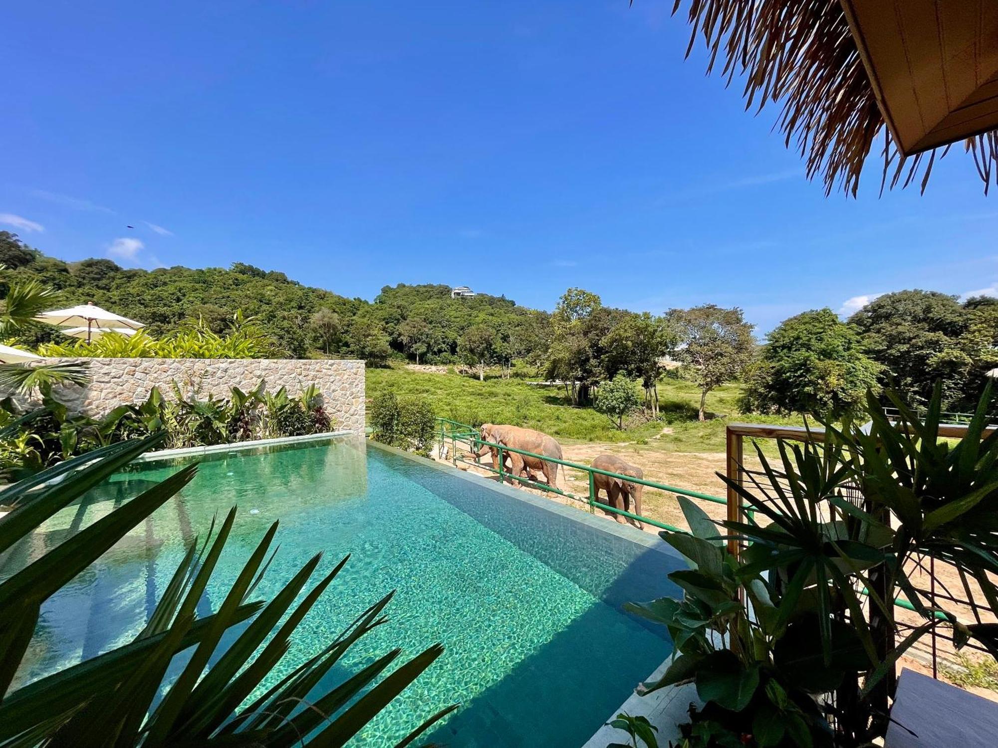 Wild Cottages Elephant Sanctuary Resort Amphoe Koksamui Exterior photo