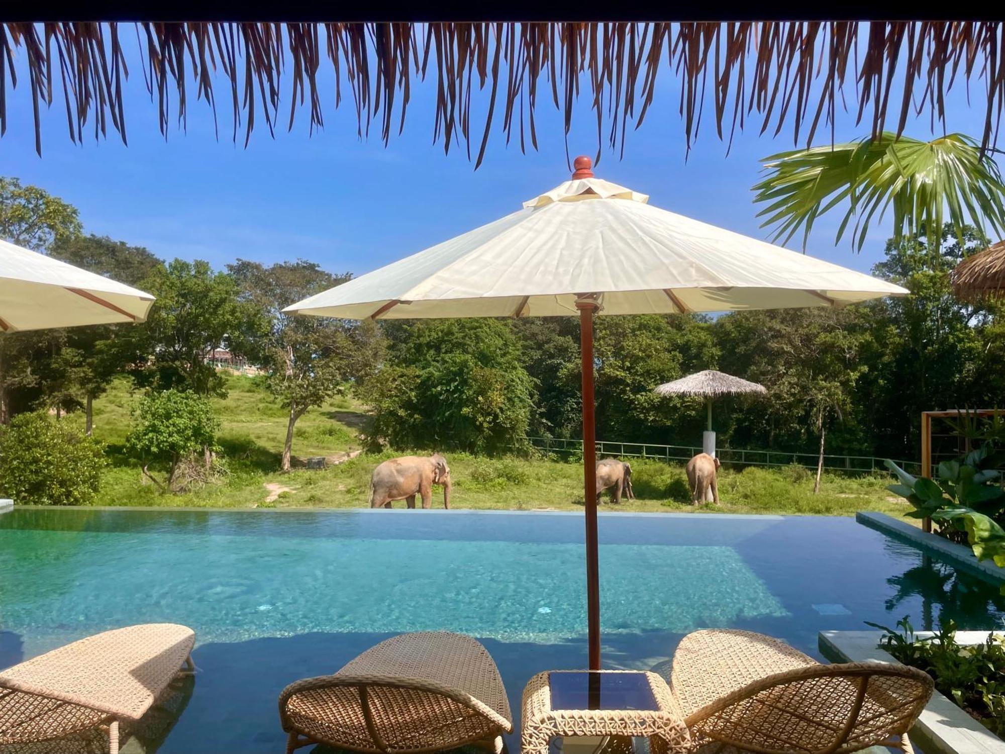 Wild Cottages Elephant Sanctuary Resort Amphoe Koksamui Exterior photo
