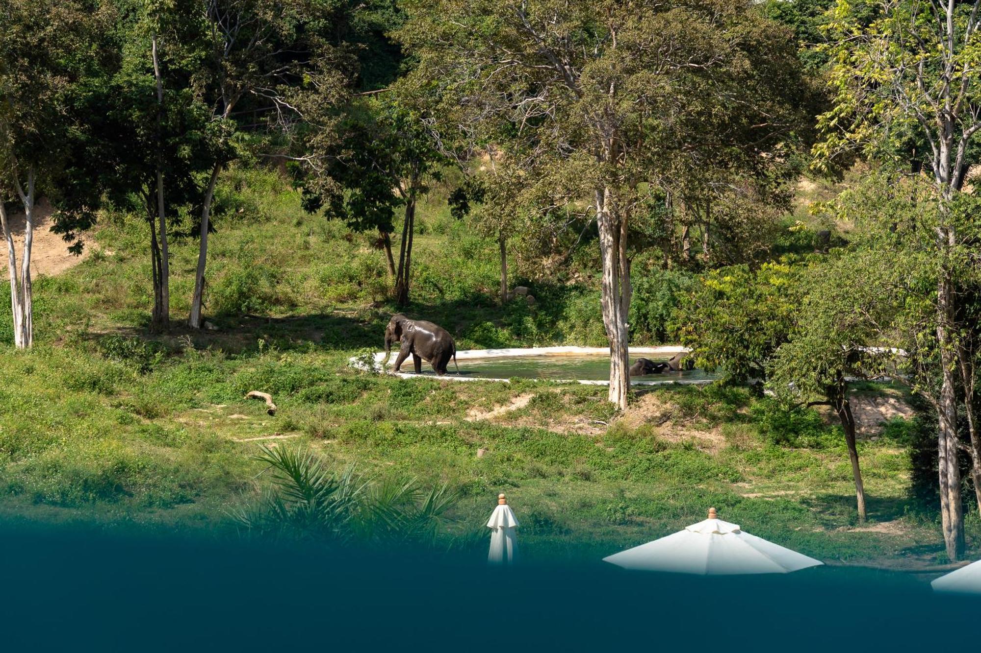 Wild Cottages Elephant Sanctuary Resort Amphoe Koksamui Exterior photo
